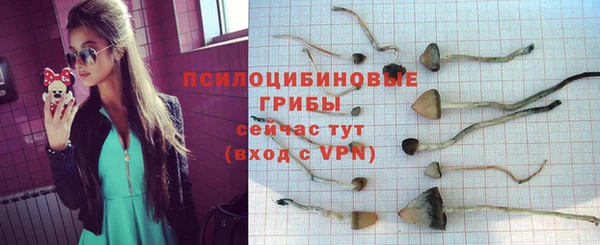 амф Елабуга