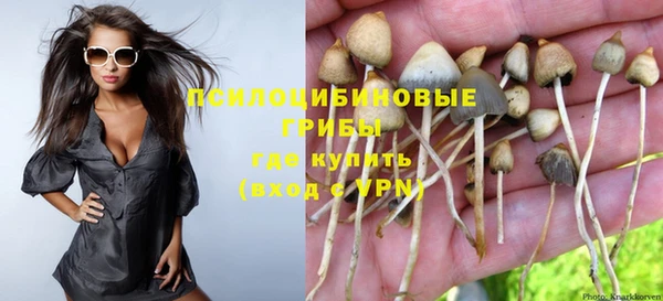 амф Елабуга